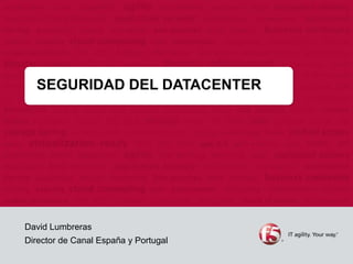 SEGURIDAD DEL DATACENTER




David Lumbreras
Director de Canal España y Portugal
 