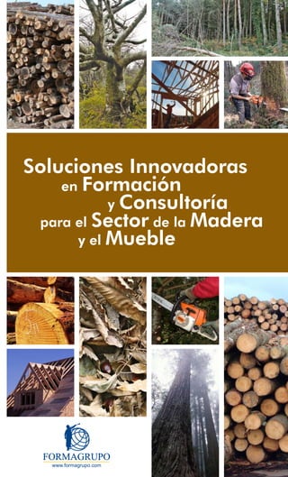 Soluciones Innovadoras
    en Formación
           y Consultoría
 para el Sector de la Madera
      y el Mueble
 