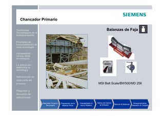 Preguntas y
discusión de
aplicaciones
Aplicaciones en
cada parte del
proceso
La aplicación
determina la
tecnología
Principios de
funcionamiento de
cada tecnología
Tendencias
Tecnológicas de la
Instrumentación
Comparativo
versus otras
tecnologías
Chancador Primario
Balanzas de Faja
MSI Belt Scale/BW500/MD 256
Chancado Primario y
Secundario
Preparación de la
Materia Prima
Precalentador &
Horno Rotativo
Molino de Carbón
& Enfriador Mezcla & Molienda
Almacenamiento,
Despacho & Cargado
 