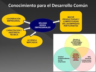 Conocimiento para el Desarrollo Común
 