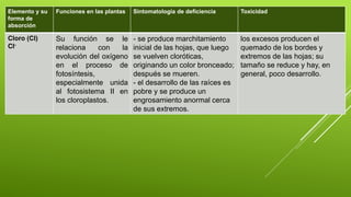 Elemento y su
forma de
absorción
Funciones en las plantas Sintomatología de deficiencia Toxicidad
Cloro (Cl)
Cl-
Su función se le
relaciona con la
evolución del oxígeno
en el proceso de
fotosíntesis,
especialmente unida
al fotosistema II en
los cloroplastos.
- se produce marchitamiento
inicial de las hojas, que luego
se vuelven cloróticas,
originando un color bronceado;
después se mueren.
- el desarrollo de las raíces es
pobre y se produce un
engrosamiento anormal cerca
de sus extremos.
los excesos producen el
quemado de los bordes y
extremos de las hojas; su
tamaño se reduce y hay, en
general, poco desarrollo.
 