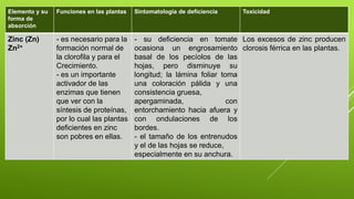 Elemento y su
forma de
absorción
Funciones en las plantas Sintomatología de deficiencia Toxicidad
Zinc (Zn)
Zn2+
- es necesario para la
formación normal de
la clorofila y para el
Crecimiento.
- es un importante
activador de las
enzimas que tienen
que ver con la
síntesis de proteínas,
por lo cual las plantas
deficientes en zinc
son pobres en ellas.
- su deficiencia en tomate
ocasiona un engrosamiento
basal de los pecíolos de las
hojas, pero disminuye su
longitud; la lámina foliar toma
una coloración pálida y una
consistencia gruesa,
apergaminada, con
entorchamiento hacia afuera y
con ondulaciones de los
bordes.
- el tamaño de los entrenudos
y el de las hojas se reduce,
especialmente en su anchura.
Los excesos de zinc producen
clorosis férrica en las plantas.
 