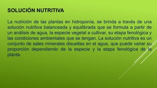 SOLUCIÓN NUTRITIVA
La nutrición de las plantas en hidroponía, se brinda a través de una
solución nutritiva balanceada y equilibrada que se formula a partir de
un análisis de agua, la especie vegetal a cultivar, su etapa fenológica y
las condiciones ambientales que se tengan. La solución nutritiva es un
conjunto de sales minerales disueltas en el agua, que puede variar su
proporción dependiendo de la especie y la etapa fenológica de la
planta.
 