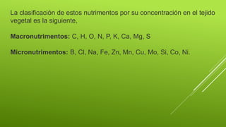 La clasificación de estos nutrimentos por su concentración en el tejido
vegetal es la siguiente,
Macronutrimentos: C, H, O, N, P, K, Ca, Mg, S
Micronutrimentos: B, Cl, Na, Fe, Zn, Mn, Cu, Mo, Si, Co, Ni.
 