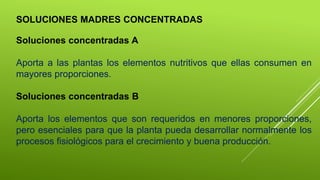 SOLUCIONES MADRES CONCENTRADAS
Soluciones concentradas A
Aporta a las plantas los elementos nutritivos que ellas consumen en
mayores proporciones.
Soluciones concentradas B
Aporta los elementos que son requeridos en menores proporciones,
pero esenciales para que la planta pueda desarrollar normalmente los
procesos fisiológicos para el crecimiento y buena producción.
 