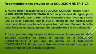 Recomendaciones previas de la SOLUCION NUTRITIVA
1. Nunca deben mezclarse la SOLUCION CONCENTRADA A con
la SOLUCION CONCENTRADA B sin la presencia de agua, pues
esto inactivaría gran parte de los elementos nutritivos que cada
una de ellas contiene, por lo que el efecto de esa mezcla sería
más perjudicial que benéfico para los cultivos. Su mezcla sólo
debe hacerse en agua, agregando una primero y la otra después.
2. La proporción original que se debe usar en la preparación de la
solución nutritiva es cinco (5) partes de la SOLUCION
CONCENTRADA A por dos (2) partes de la SOLUCION
CONCENTRADA B por cada litro de solución nutritiva que se
quiera preparar (ver la tabla siguiente).
 