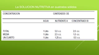 La SOLUCION NUTRITIVA en sustratos sólidos
 