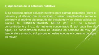 a) Aplicación de la solución nutritiva
Si se necesita aplicar solución nutritiva para plantas pequeñas (entre el
primero y el décimo día de nacidas) o recién trasplantadas (entre el
primero y el séptimo día después del trasplante) y en climas cálidos, se
emplea la CONCENTRACION MEDIA (2,5 c.c. de nutriente
concentrado A y 1 c.c. de nutriente concentrado B. por cada litro de
agua). La concentración media es utilizada en períodos de muy alta
temperatura y mucho sol, porque en estas épocas el consumo de agua
es mayor.
 
