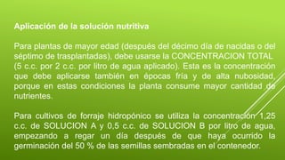 Aplicación de la solución nutritiva
Para plantas de mayor edad (después del décimo día de nacidas o del
séptimo de trasplantadas), debe usarse la CONCENTRACION TOTAL
(5 c.c. por 2 c.c. por litro de agua aplicado). Esta es la concentración
que debe aplicarse también en épocas fría y de alta nubosidad,
porque en estas condiciones la planta consume mayor cantidad de
nutrientes.
Para cultivos de forraje hidropónico se utiliza la concentración 1,25
c.c. de SOLUCION A y 0,5 c.c. de SOLUCION B por litro de agua,
empezando a regar un día después de que haya ocurrido la
germinación del 50 % de las semillas sembradas en el contenedor.
 