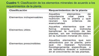 Cuadro 1: Clasificación de los elementos minerales de acuerdo a los
requerimientos de la planta.
 