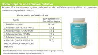 Cómo preparar una solución nutritiva
 