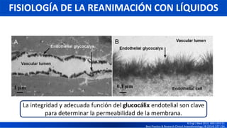 FISIOLOGÍA DE LA REANIMACIÓN CON LÍQUIDOS
N Engl J Med 2013; 369:1243-51.
Best Practice & Research Clinical Anaesthesiology 28 (2014) 227-234.
La integridad y adecuada función del glucocálix endotelial son clave
para determinar la permeabilidad de la membrana.
 