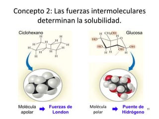11
Molécula
apolar
Ciclohexano Glucosa
Fuerzas de
London
Puente de
Hidrógeno
Molécula
polar
Concepto 2: Las fuerzas intermoleculares
determinan la solubilidad.
 