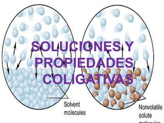 Soluciones y propiedades coligativas