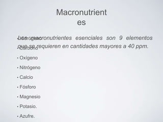 Macronutrient
es
•Los macronutrientes
Hidrógeno

esenciales son 9 elementos
•que se requieren en cantidades mayores a 40 ppm.
Carbono
•

Oxígeno

•

Nitrógeno

•

Calcio

•

Fósforo

•

Magnesio

•

Potasio.

•

Azufre.

 