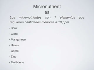 Micronutrient
es
Los micronutrientes son 7 elementos
requieren cantidades menores a 10 ppm.
•

Boro

•

Cloro

•

Manganeso

•

Hierro

•

Cobre

•

Zinc

•

Molibdeno

que

 