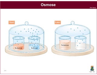 Osmose
               Prof. Nunes




103
               DQOI - UFC
 