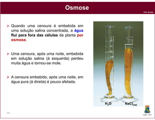 Osmose
                                                                  Prof. Nunes




      Quando uma cenoura é embebida em
      uma solução salina concentrada, a água
      flui para fora das células da planta por
      osmose.
      osmose


      Uma cenoura após uma noite, embebida
           cenoura,
      em solução salina (à esquerda) perdeu
      muita água e tornou-se mole.


      A cenoura embebida, após uma noite, em
      água pura (à direita) é pouco afetada.




                                                 NaCl(aq)   H2O

104
                                                                  DQOI - UFC
 