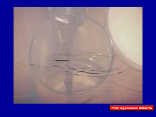 Prof. Agamenon Roberto 
 