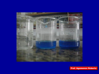 Prof. Agamenon Roberto 
 