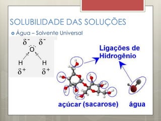 SOLUBILIDADE DAS SOLUÇÕES
 Água – Solvente Universal
 
