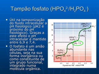 Tampão fosfato (HPO 4 2- /H 2 PO 4 - ) Útil na tamponização do fluido intracelular a pH fisiológico (pK2 é próximo do pH fisiológico). Graças a este efeito o pH intracelular é mantido entre 6,9 e 7,4.  O fosfato é um anião abundante nas células, seja na sua forma inorgânica ou como constituinte de um grupo funcional, integrado numa molécula orgânica. 