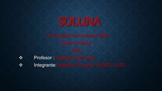 SOLUNA
Universidad Dominicana o&M
Base de datos.
0541
 Profesor : Starling Germosen.
 Integrante: Nallelys Pichardo 19-SIIT-1-072.
 