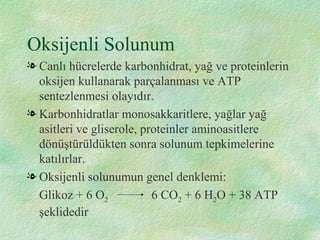 solunum-ppt