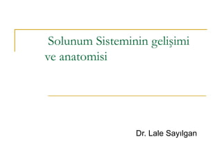 Solunum Sisteminin gelişimi
ve anatomisi
Dr. Lale Sayılgan
 