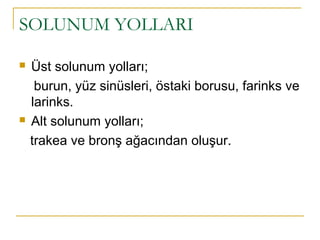 SOLUNUM YOLLARI
 Üst solunum yolları;
burun, yüz sinüsleri, östaki borusu, farinks ve
larinks.
 Alt solunum yolları;
trakea ve bronş ağacından oluşur.
 