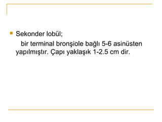  Sekonder lobül;
bir terminal bronşiole bağlı 5-6 asinüsten
yapılmıştır. Çapı yaklaşık 1-2.5 cm dir.
 