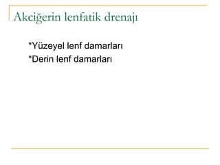 Akciğerin lenfatik drenajı
*Yüzeyel lenf damarları
*Derin lenf damarları
 