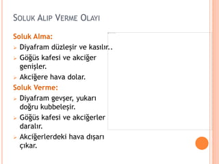 SOLUK ALIP VERME OLAYI
Soluk Alma:
 Diyafram düzleşir ve kasılır..
 Göğüs kafesi ve akciğer
genişler.
 Akciğere hava dolar.
Soluk Verme:
 Diyafram gevşer, yukarı
doğru kubbeleşir.
 Göğüs kafesi ve akciğerler
daralır.
 Akciğerlerdeki hava dışarı
çıkar.
 