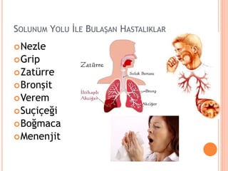 SOLUNUM YOLU İLE BULAŞAN HASTALIKLAR
Nezle
Grip
Zatürre
Bronşit
Verem
Suçiçeği
Boğmaca
Menenjit
 