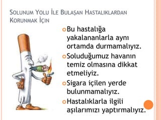 SOLUNUM YOLU İLE BULAŞAN HASTALIKLARDAN
KORUNMAK İÇIN
Bu hastalığa
yakalananlarla aynı
ortamda durmamalıyız.
Soluduğumuz havanın
temiz olmasına dikkat
etmeliyiz.
Sigara içilen yerde
bulunmamalıyız.
Hastalıklarla ilgili
aşılarımızı yaptırmalıyız.
 