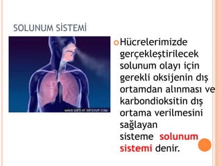 SOLUNUM SİSTEMİ
Hücrelerimizde
gerçekleştirilecek
solunum olayı için
gerekli oksijenin dış
ortamdan alınması ve
karbondioksitin dış
ortama verilmesini
sağlayan
sisteme solunum
sistemi denir.
 