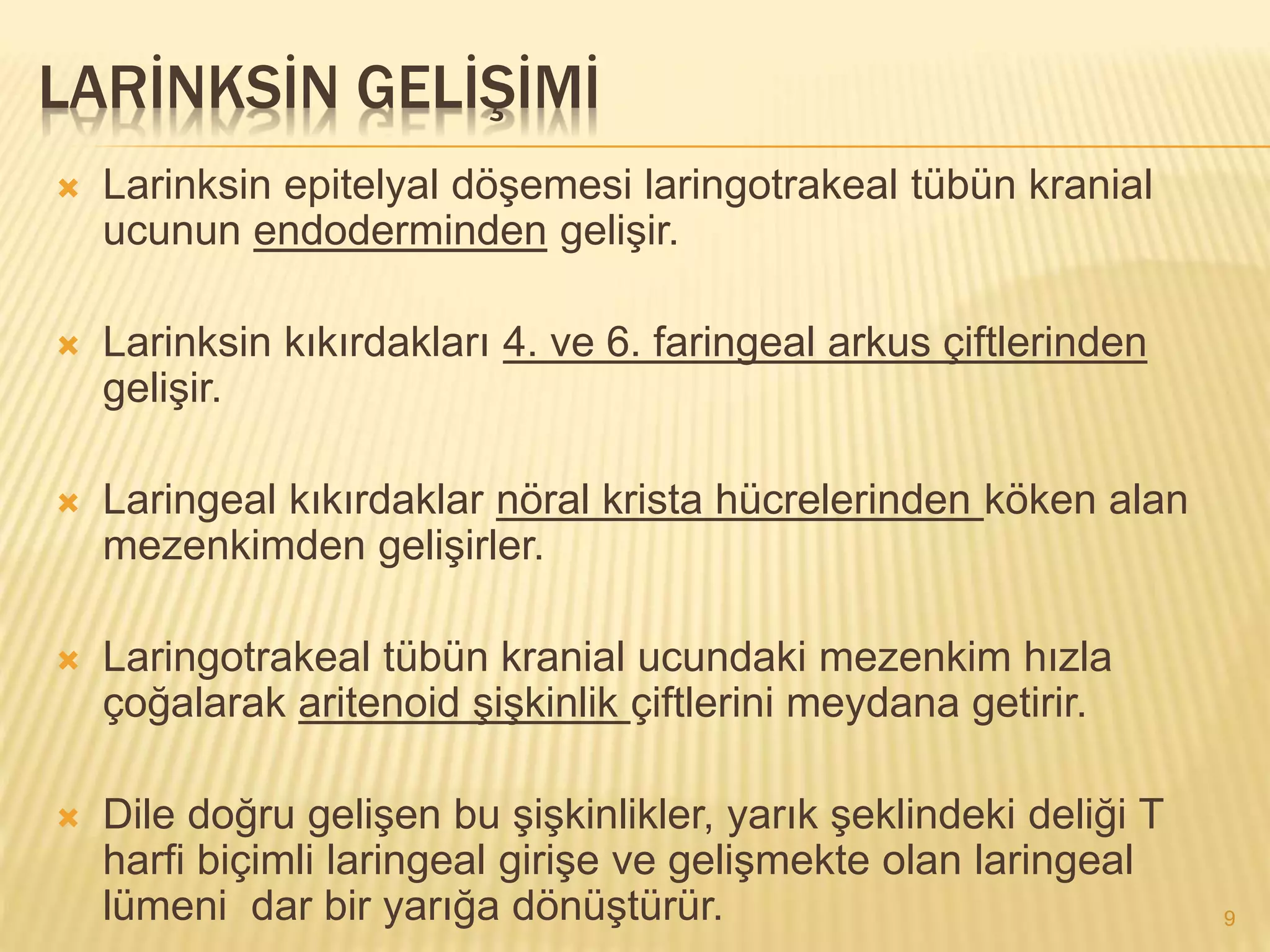 Solunum sistemi embriyolojisi | PPTX