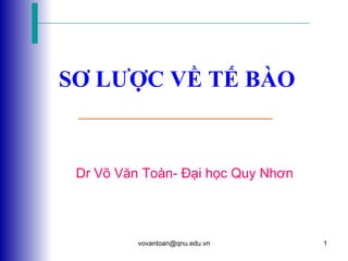 SƠ LƯỢC VỀ TẾ BÀO Dr Võ Văn Toàn- Đại học Quy Nhơn 