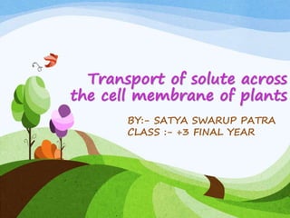 Transport of solute across
the cell membrane of plants
BY:- SATYA SWARUP PATRA
CLASS :- +3 FINAL YEAR
 