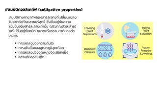 สมบัติทางกายภาพของสารละลายที่เปลี่ยนแปลง
ไปจากตัวทาละลายบริสุทธิ์ ซึ่งขึ้นอยู่กับความ
เข้มข้นของสารละลายเท่านั้น (ปริมาณตัวละลาย)
แต่ไม่ขึ้นอยู่กับชนิด ขนาดหรือธรรมชาติของตัว
ละลาย
#สมบัติคอลลิเกทีฟ (colligative properties)
▪ การลดลงของความดันไอ
▪ การเพิ่มขึ้นของอุณหภูมิจุดเดือด
▪ การลดลงของอุณหภูมิจุดเยือกแข็ง
▪ ความดันออสโมติก
 