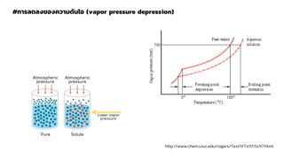 #การลดลงของความดันไอ (vapor pressure depression)
http://www.chem.uiuc.edu/rogers/Text11/Tx117/tx117.html
 