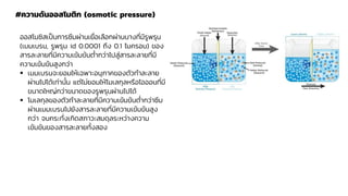 #ความดันออสโมติก (osmotic pressure)
ออสโมซิสเป็นการซึมผ่านเยื่อเลือกผ่านบางที่มีรูพรุน
(เมมเบรน, รูพรุน id 0.0001 ถึง 0.1 ไมครอน) ของ
สารละลายที่มีความเข้มข้นต่ากว่าไปสู่สารละลายที่มี
ความเข้มข้นสูงกว่า
▪ เมมเบรนจะยอมให้เฉพาะอนุภาคของตัวทาละลาย
ผ่านไปได้เท่านั้น แต่ไม่ยอมให้โมเลกุลหรือไอออนที่มี
ขนาดใหญ่กว่าขนาดของรูพรุนผ่านไปได้
▪ โมเลกุลของตัวทาละลายที่มีความเข้มข้นต่ากว่าซึม
ผ่านเมมเบรนไปยังสารละลายที่มีความเข้มข้นสูง
กว่า จนกระทั่งเกิดสภาวะสมดุลระหว่างความ
เข้มข้นของสารละลายทั้งสอง
 