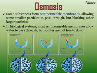 Osmosis
 Some substances form semipermeable membranes, allowing
some smaller particles to pass through, but blocking other
larger particles.
 In biological systems, most semipermeable membranes allow
water to pass through, but solutes are not free to do so.
 