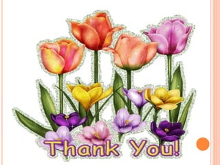 Solution Assessment Method Guide & Template by Expert Toolkit