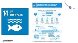 Proprietary + Confidential
 