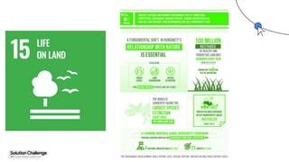 Proprietary + Confidential
 