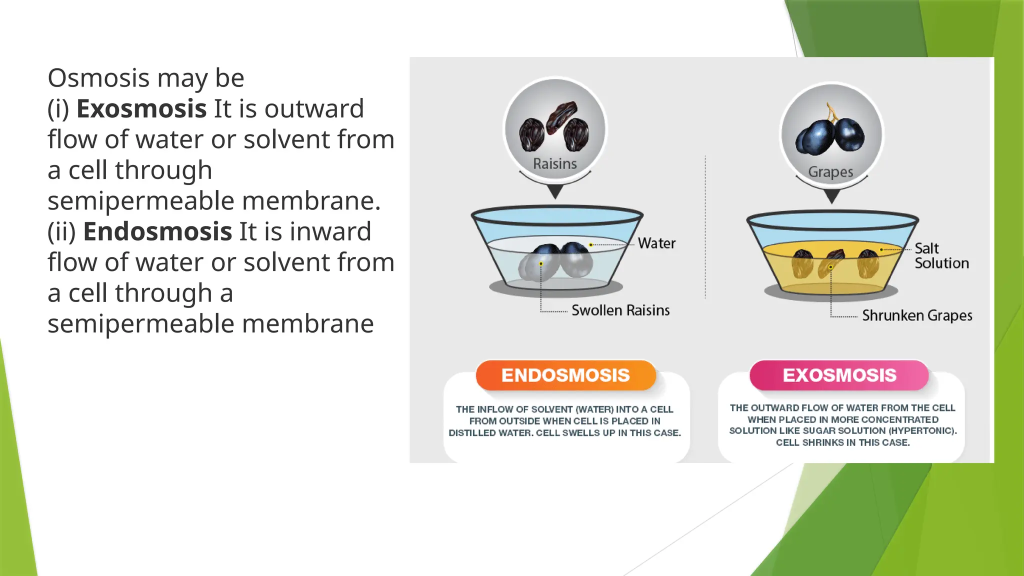 Osmosis may be
(i) Exosmosis It is outward
flow of water or solvent from
a cell through
semipermeable membrane.
(ii) Endosmosis It is inward
flow of water or solvent from
a cell through a
semipermeable membrane
 