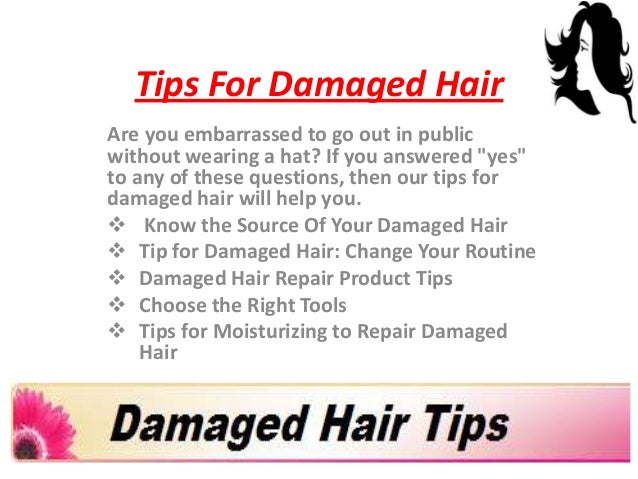 Solution For Damaged Hair Damagedhair Net
