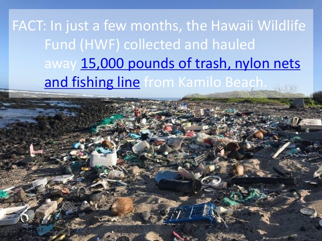 Solution for ocean garbage in Hawaii