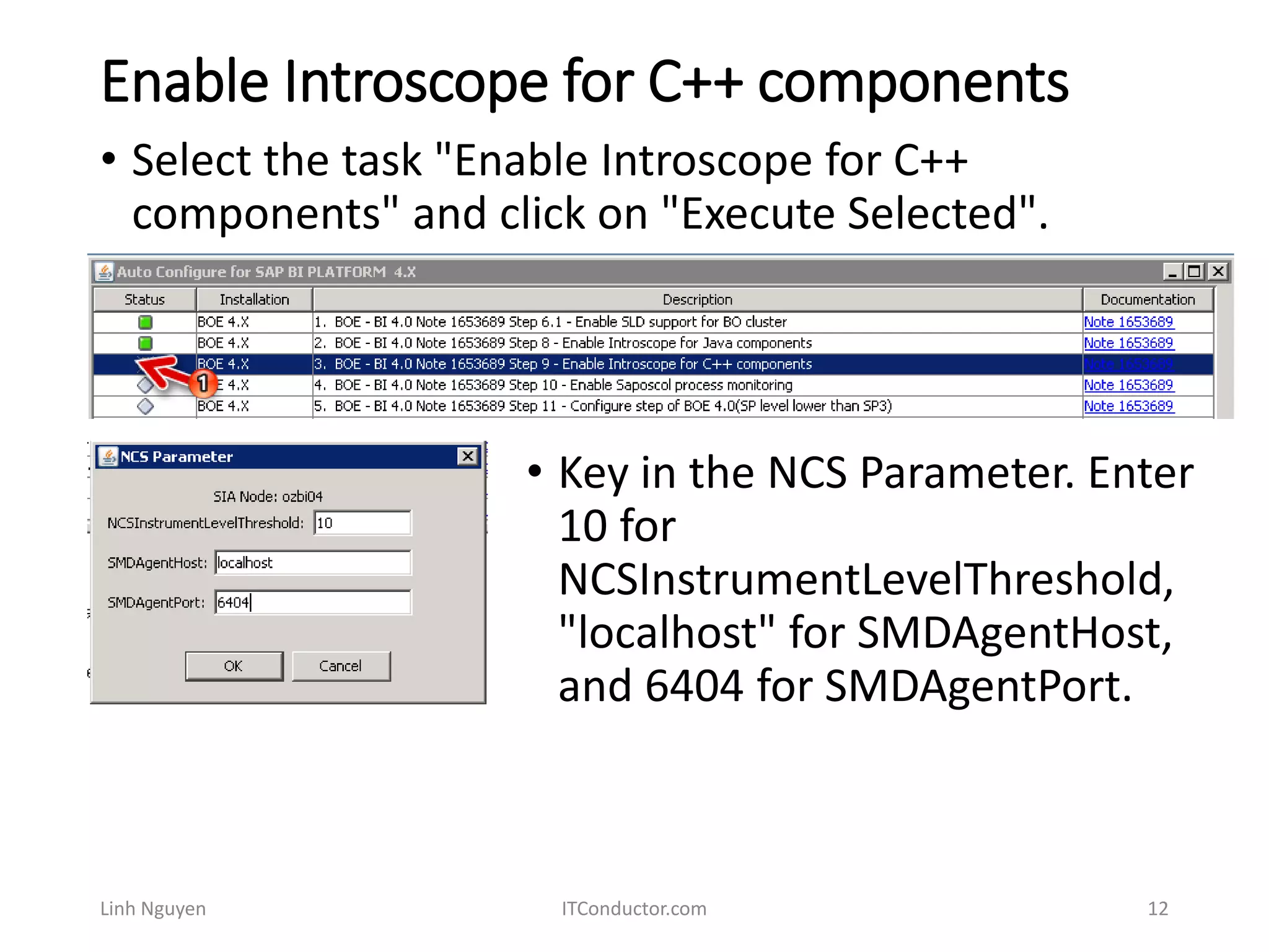 Enable Introscope for C++ components
Linh Nguyen ITConductor.com 12
• Select the task "Enable Introscope for C++
components" and click on "Execute Selected".
• Key in the NCS Parameter. Enter
10 for
NCSInstrumentLevelThreshold,
"localhost" for SMDAgentHost,
and 6404 for SMDAgentPort.
 